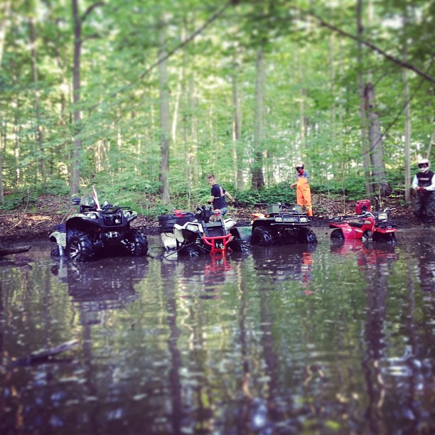 Water hole poser pic #swampdonkeys