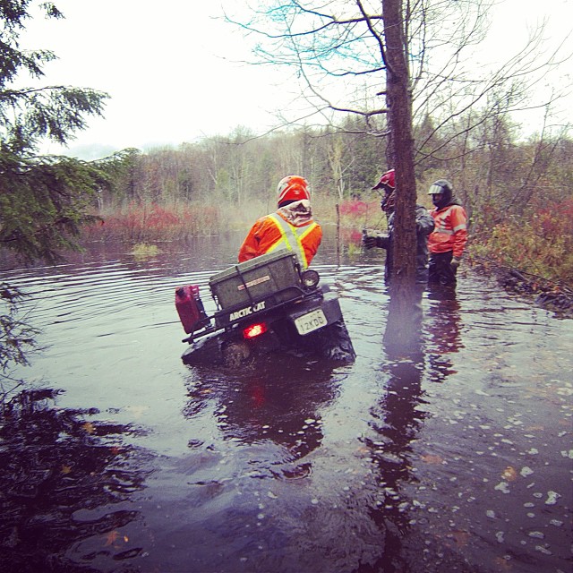 Crossing the beaver dam. @tomdrich #swampdonkeys