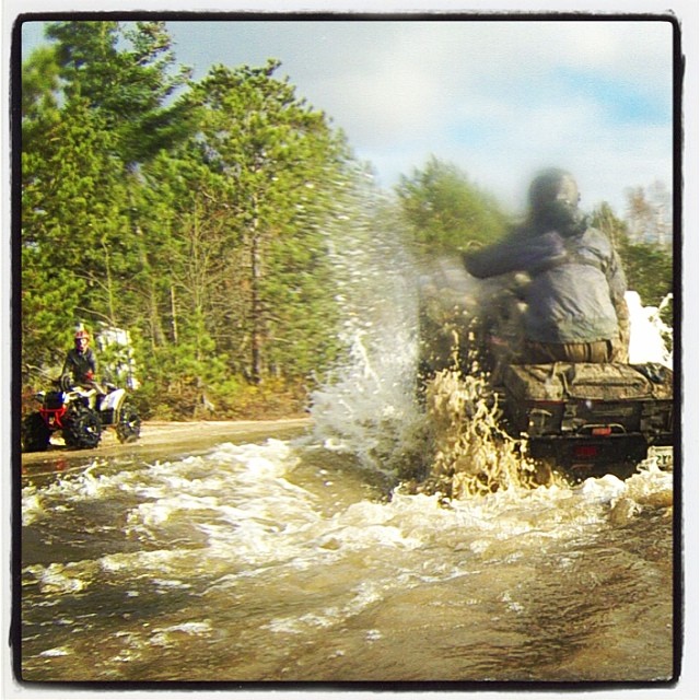 Grizz showing off as RangerBob watches #scrambler850 #swampdonkeys