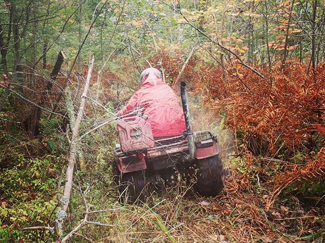 The mariner trail scouting.