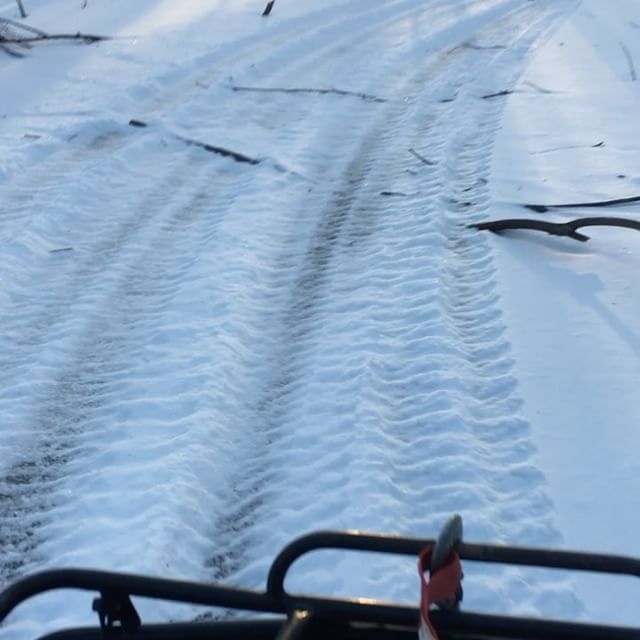Rippin through the frozen swamps is one of the greatest thrills of a quad.