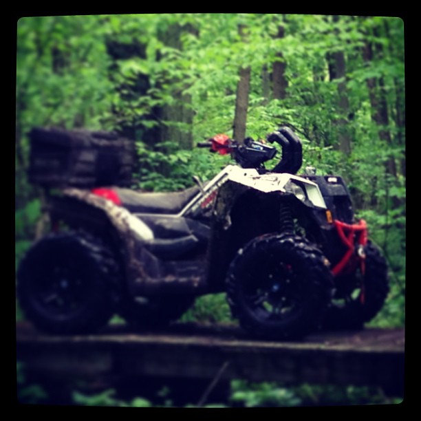 Saved my ass tonight #teamPolaris #bloodIsthickerthanwater #swampdonkeys