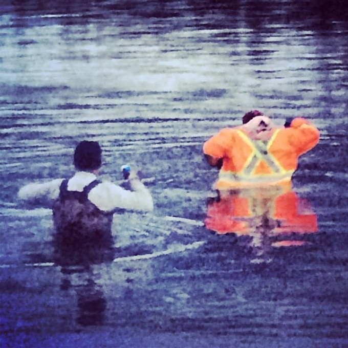 @tomdrich @rangerbob316 swimming. #swampdonkeys