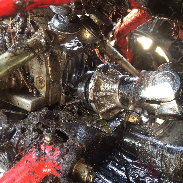 And he’s broke. @rangerbob316 #swampdonkeys