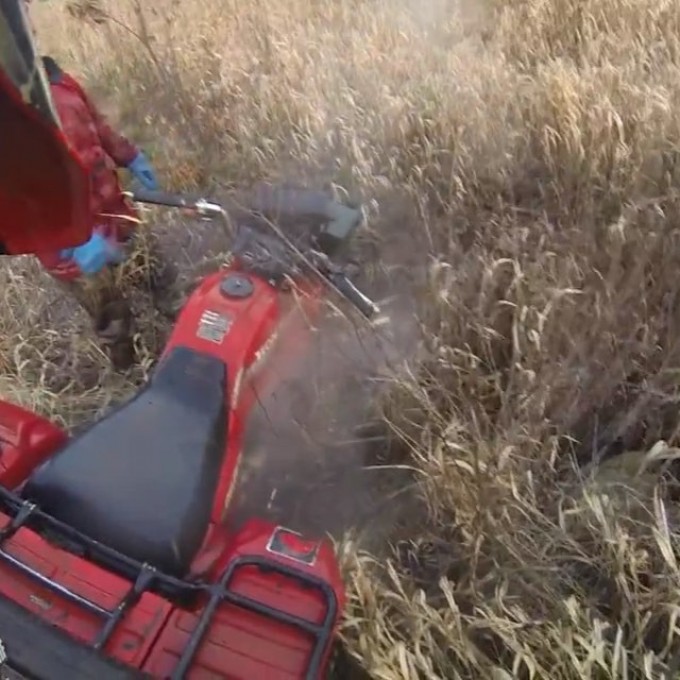 Watch as the #honda #bigred throws its master off #SwampDonkeys Off Road Club: @webez9 @tomdrich @chriscross4653 @timmerlegrand @smithjaret @adam.stanley549