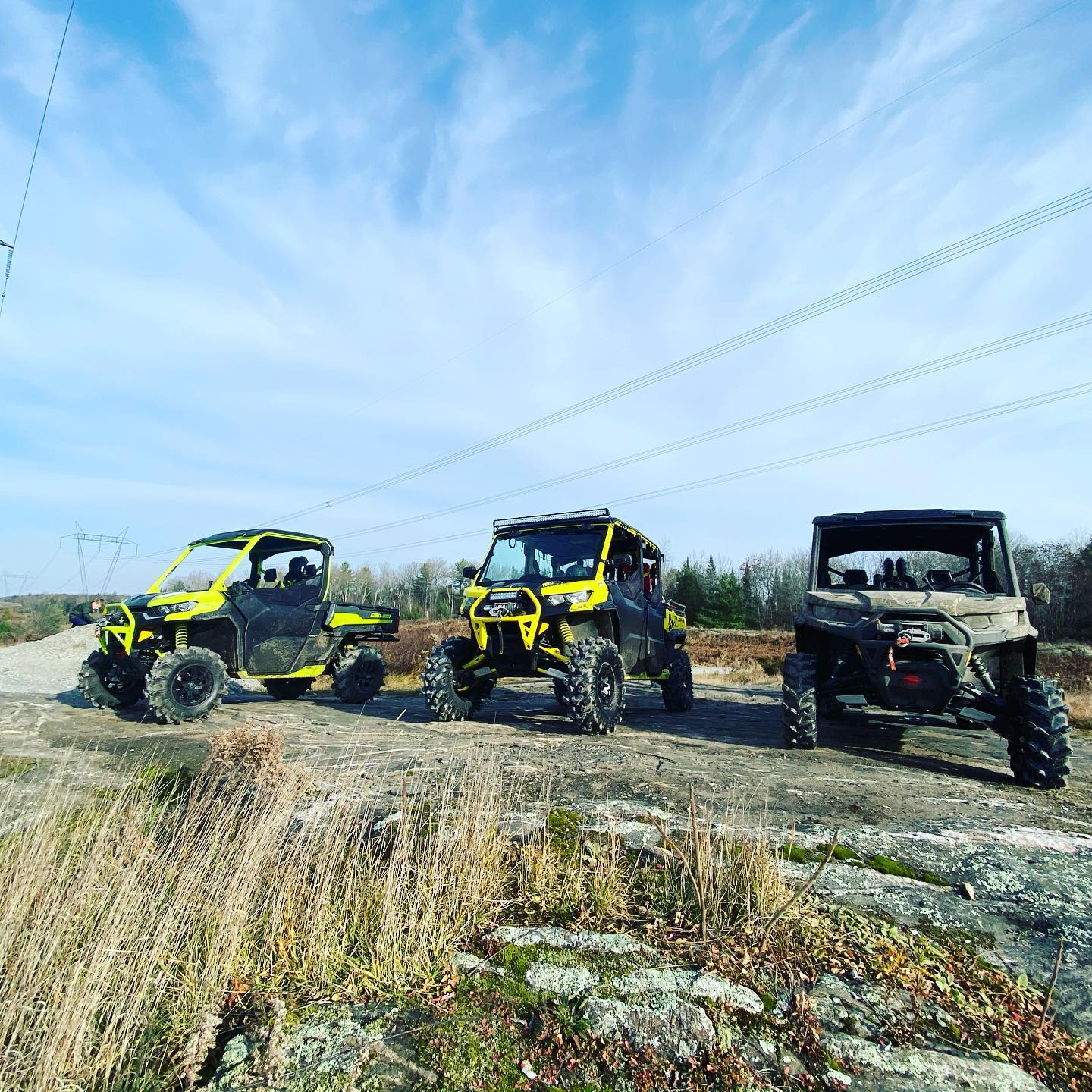 And then there were 3 #defendermaxxmr #swampdonkeys